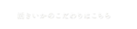 活きいかのこだわり