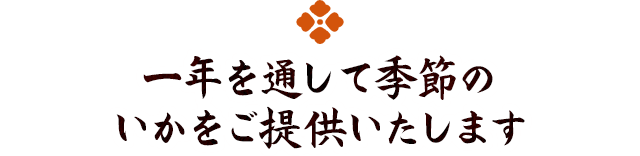 一年を通して季節のいかをご提供いたします