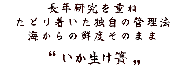 長年研究を重ねたどり着いた独自の管理法海からの鮮度そのまま“いか生け簀”